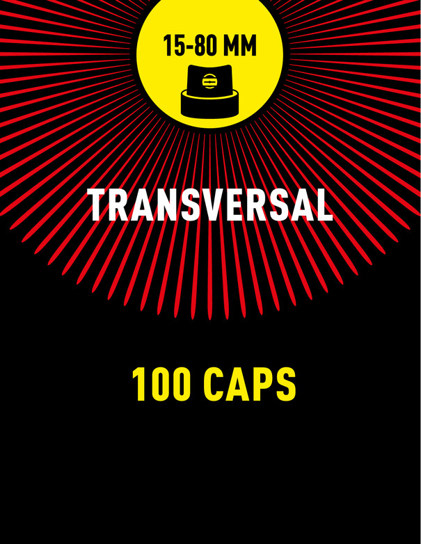 TRANSVERSAL BOX 100